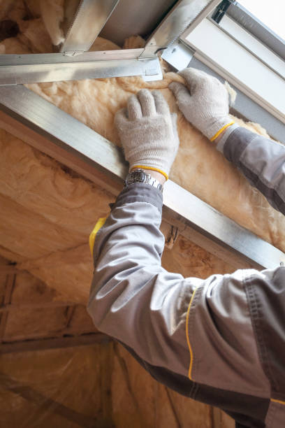 Best Reflective Insulation  in Ford Heights, IL