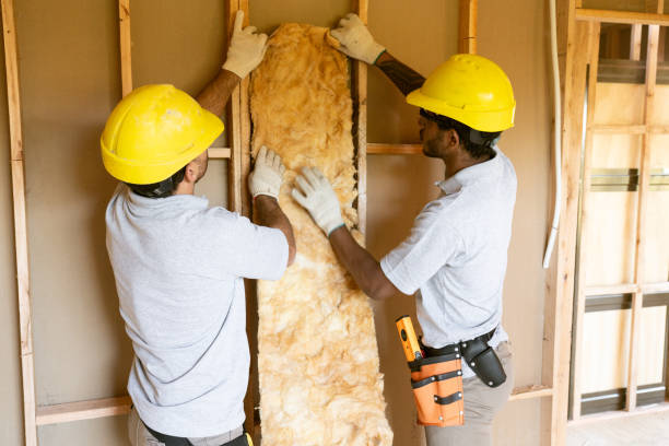 Best Insulation Air Sealing  in Ford Heights, IL